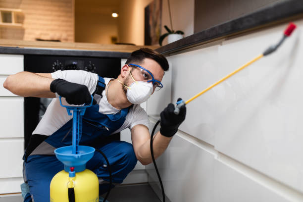 Best Cockroach Control Services  in Rancho Mission Viejo, CA