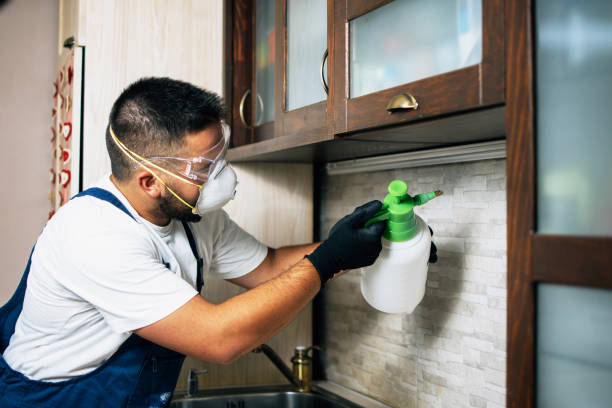 Best Residential Pest Control  in Rancho Mission Viejo, CA