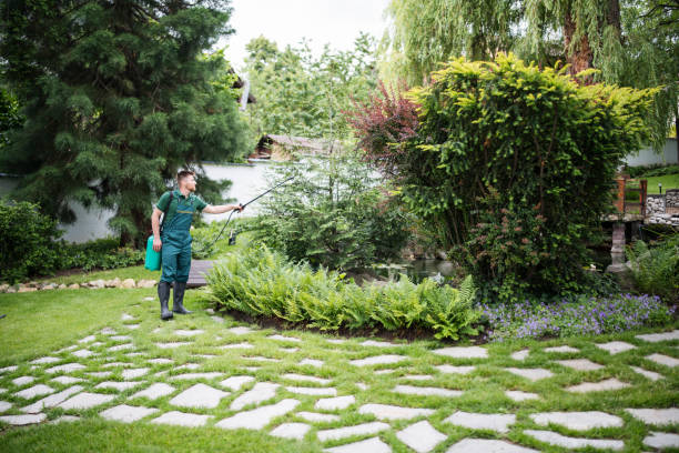 Best Best Pest Control Companies  in Rancho Mission Viejo, CA