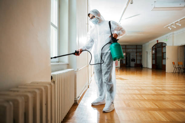 Best Pest Removal Services  in Rancho Mission Viejo, CA